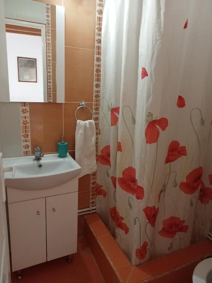 Elza Guesthouse Rimetea Εξωτερικό φωτογραφία