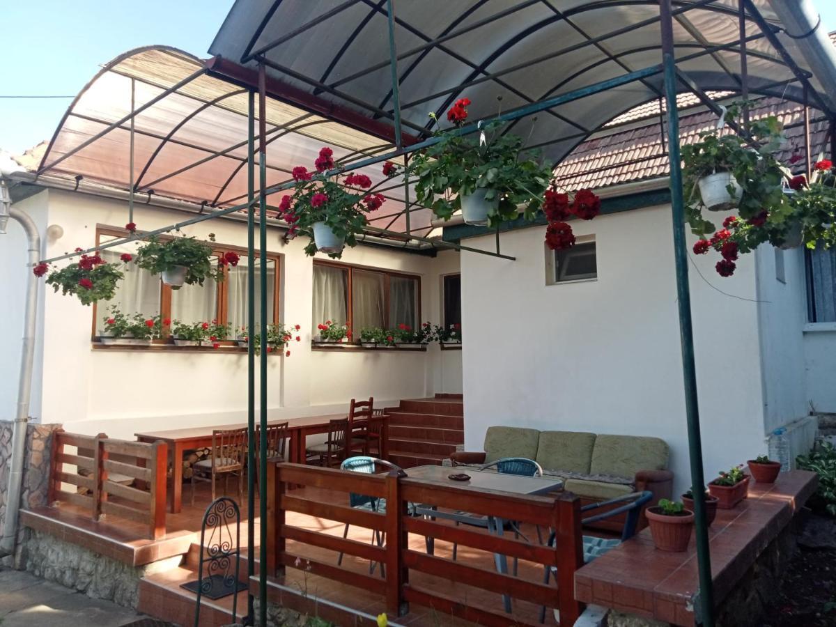 Elza Guesthouse Rimetea Εξωτερικό φωτογραφία