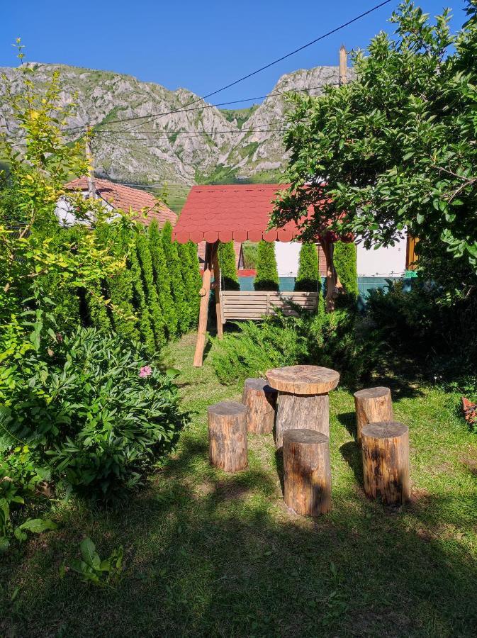 Elza Guesthouse Rimetea Εξωτερικό φωτογραφία
