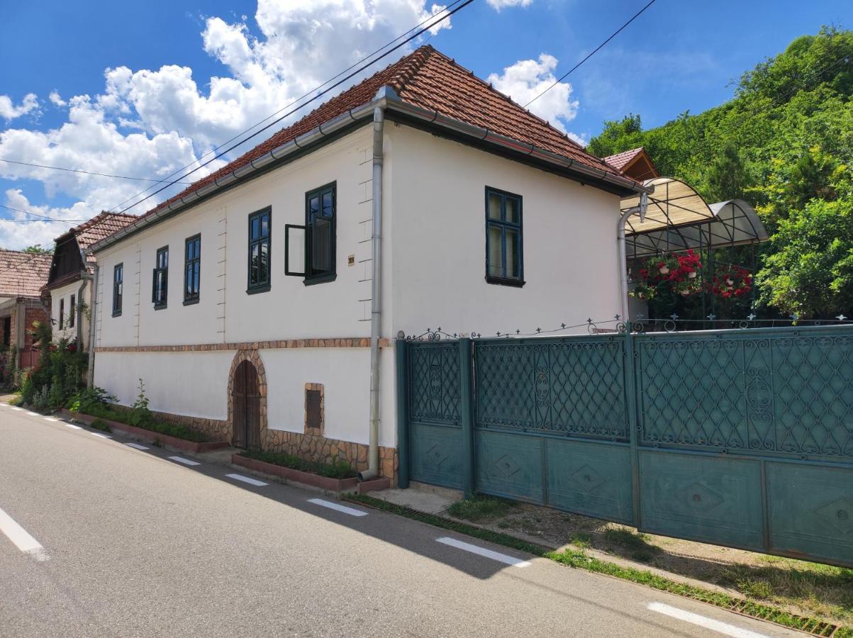 Elza Guesthouse Rimetea Εξωτερικό φωτογραφία