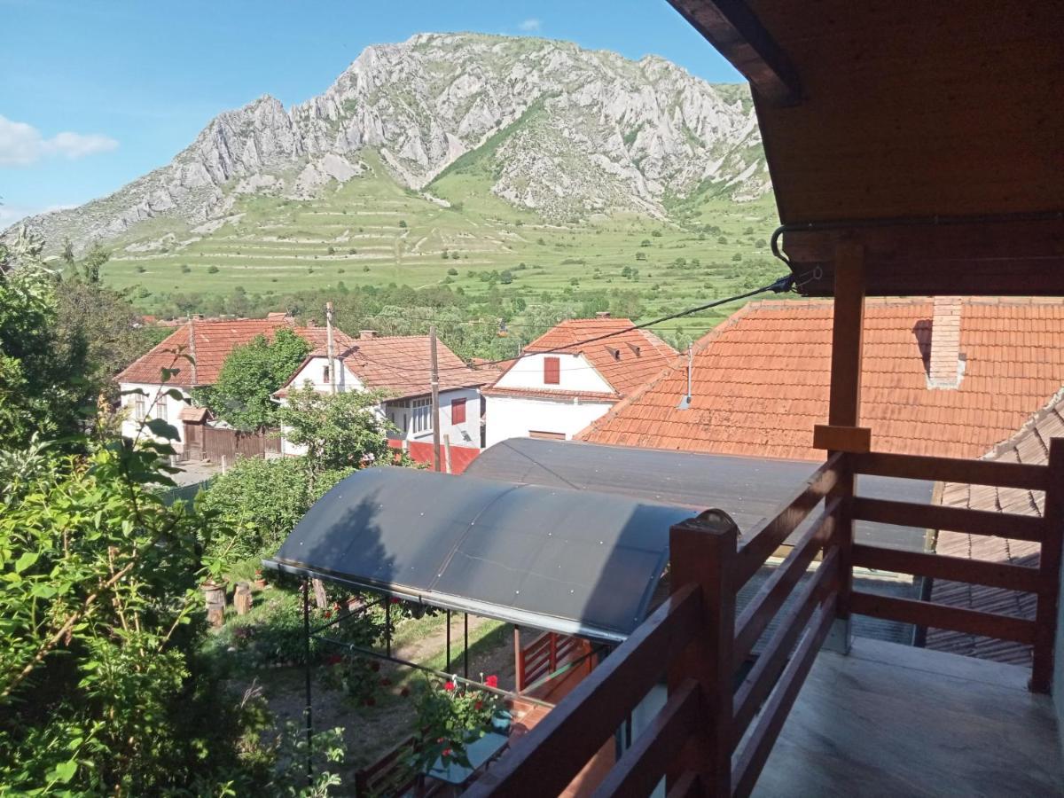 Elza Guesthouse Rimetea Εξωτερικό φωτογραφία