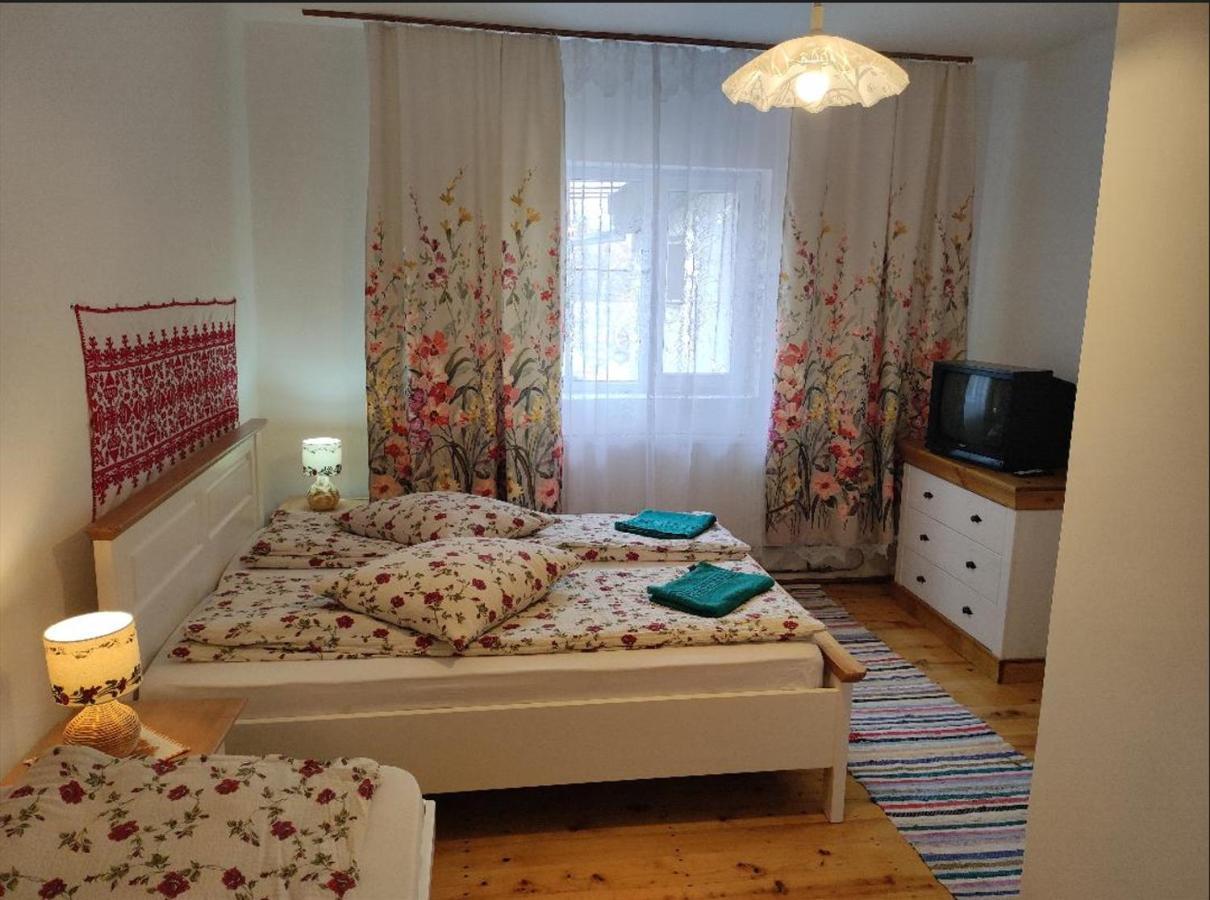 Elza Guesthouse Rimetea Εξωτερικό φωτογραφία